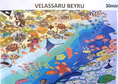 Velassaru Beyru